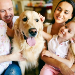 Probiotica Huisdieren